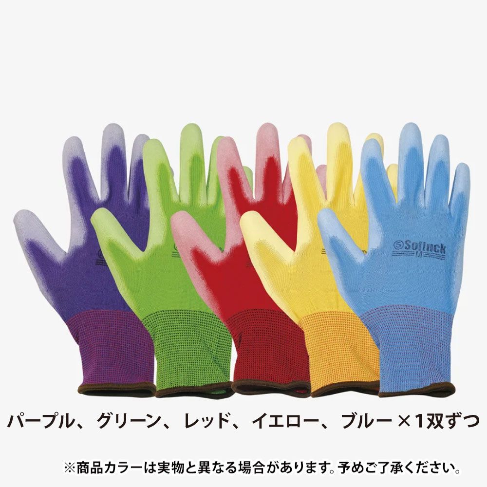 5双組