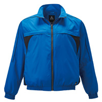 ロイヤルブルー