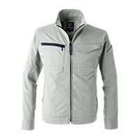 ストーンシルバー