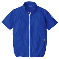 ロイヤルブルー