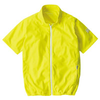 ライムイエロー