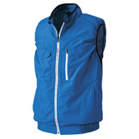 ロイヤルブルー