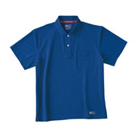 ロイヤルブルー