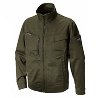 ダークオリーブ