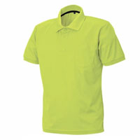 フレッシュライム