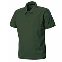 ダークオリーブ