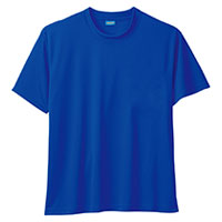 ロイヤルブルー