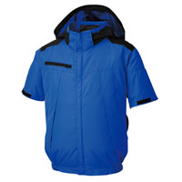 ロイヤルブルー