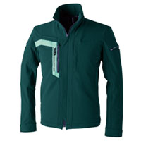 ダークグリーン