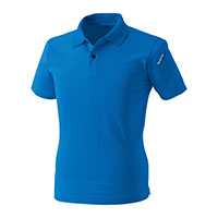 ロイヤルブルー