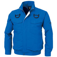 ロイヤルブルー