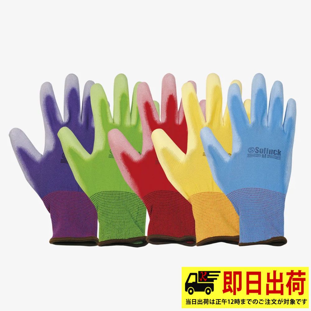 5双組