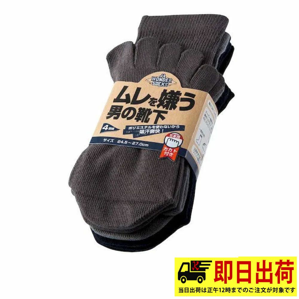 カラーアソート